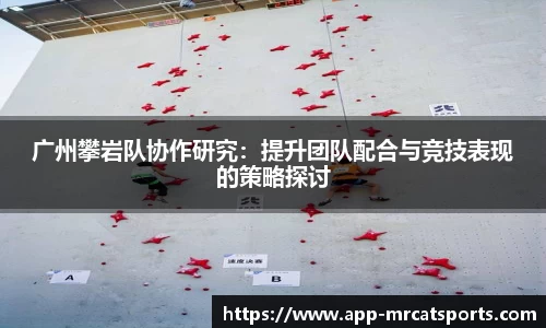 MRCAT猫先生体育平台